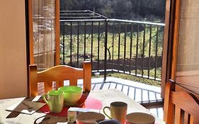 Apartament Eliette 3
